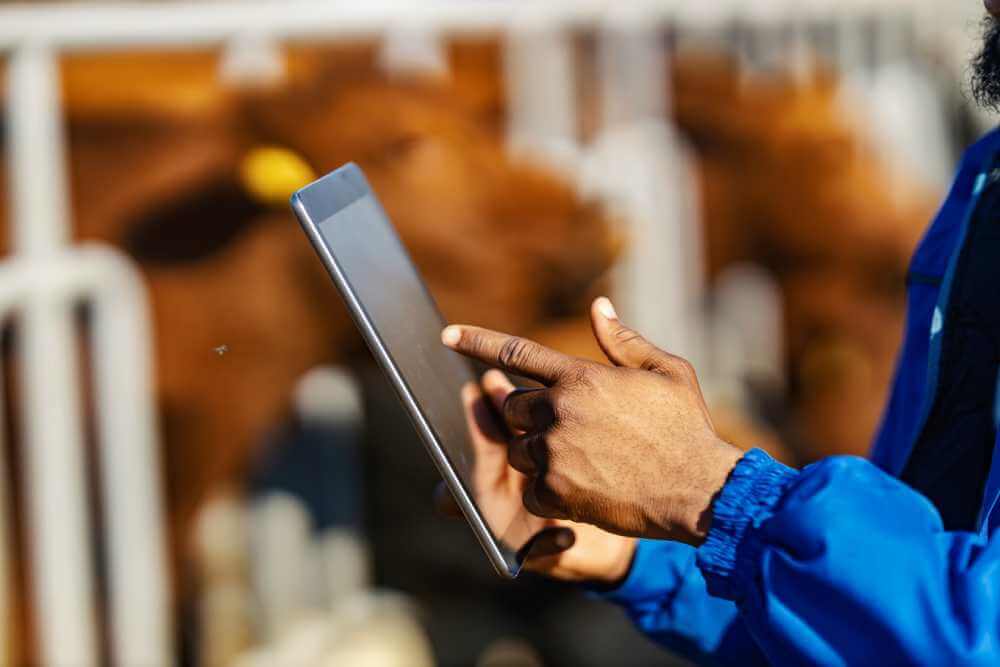 Engineering the Zero-Leak Factory: Why OEE + CMMS is the New Food & Beverage Standard